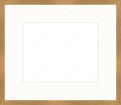 Custom Frame + Mount image