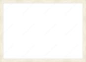 Custom Frame image