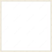 Custom Frame image
