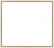 Custom Frame image
