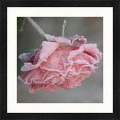 Upload, Print &amp; Frame
