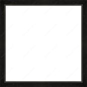 Custom Frame