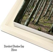 2055 Canvas Floater Tray Frame - To Fit Canvas Size 30 x 20in - Frame Size 812 x 558mm image