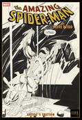 The Amazing Spider-Man by Steve Ditko: Artist's Edition HC image