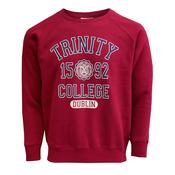 Adult Unisex Crew Neck Burgundy Trinity Sweatshirt image
