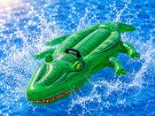 Crocodile Ride on