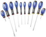Facom Expert E160905 - 10pc Slotted Phillips Screwdriver Set image