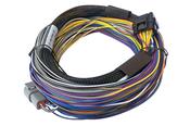 Elite 550 &amp;amp; 750 Basic Universal Wire-in Harness Length: 2.5m (8')