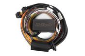 Elite 1500, 2500 &amp;amp; 2500 T Premium Universal Wire-in Harness Length: 2.5m (8')