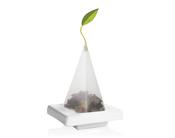 Tea Tray Orchid White image