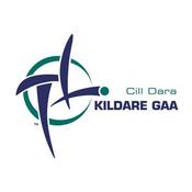 Kildare GAA Flag 3ft x 2ft image