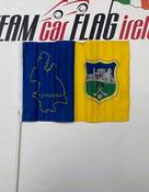 Tipperary GAA Flag 12"x18"  (Map) with stick image