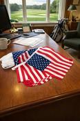 USA 25m BUNTING
