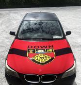 DOWN CAR BONNET COVER