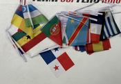WORLD CUP BUNTING - 6" X 9" FLAGS