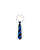 St Stephen's NS Tie image