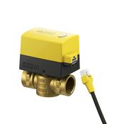Eph 1" Female Motorised Valve &amp; Actuator
