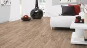 Dynamic Plus 4V Range Bracken Oak Laminate Flooring AC4 - 8mm x 193mm x 1380mm - Pack covers 2.131m2  image