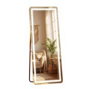 Tara Lane Modena LED Cheval Mirror Gold 160 x 50cm | TL6293 image