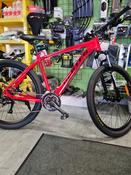 Mountain Bike — The Bike Doc image