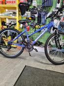 Ladies mountain bike — The Bike Doc image