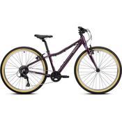 Ridgeback Dimension 24 Vanquish Violet image