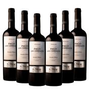 Bodegas Montalvo Wilmot, - Pago Los Cerrillos Syrah 2022 6 Bottle Case