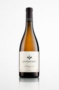 Pormenor Branco, Douro, Portugal 2024