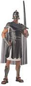Centurion Soldier Costume image