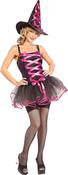 Ladies Pink Ballerina Witch Costume image