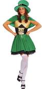 Lucky Ladies Leprechaun Costume - Plus Size image