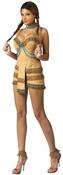 Dream Catcher Adult Costume image