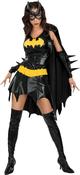 Batgirl Costume image