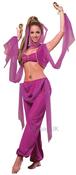 Arabian Princess Costume image