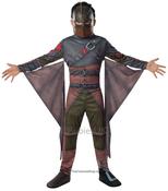 Hiccup - How to Train your Dragon image