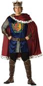 Noble King Costume image