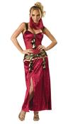 Desert Dancer Costume image