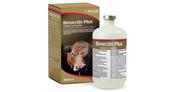 BIMECTIN PLUS 250ML image