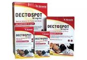 DECTOSPOT POUR-ON - 1lt