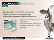 CALCITRACE D3 BOLUS 4 PACK image