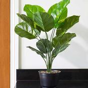 70cm Artificial Lily Plant image