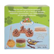 DIY Bird Feeding Kit