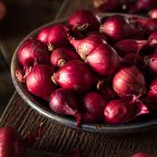 Winter Red Onion Sets Electric Red (75 Pack) image