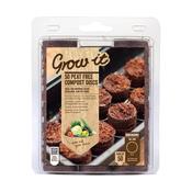 Growing Pellets (50 Pack)