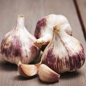 Therador French Garlic Bulbs (3 Pack) image
