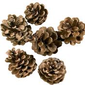 Austriaca Pine Cone Christmas Decorations (5kg)