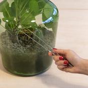 Terrarium Tweezers image