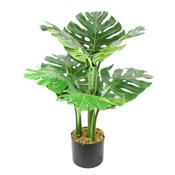 65cm Artificial Cheese Plant image