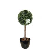 Artificial Boxwood Tree (60cm) image
