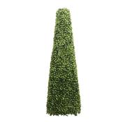 Conical Boxwood Topiary (60cm) image